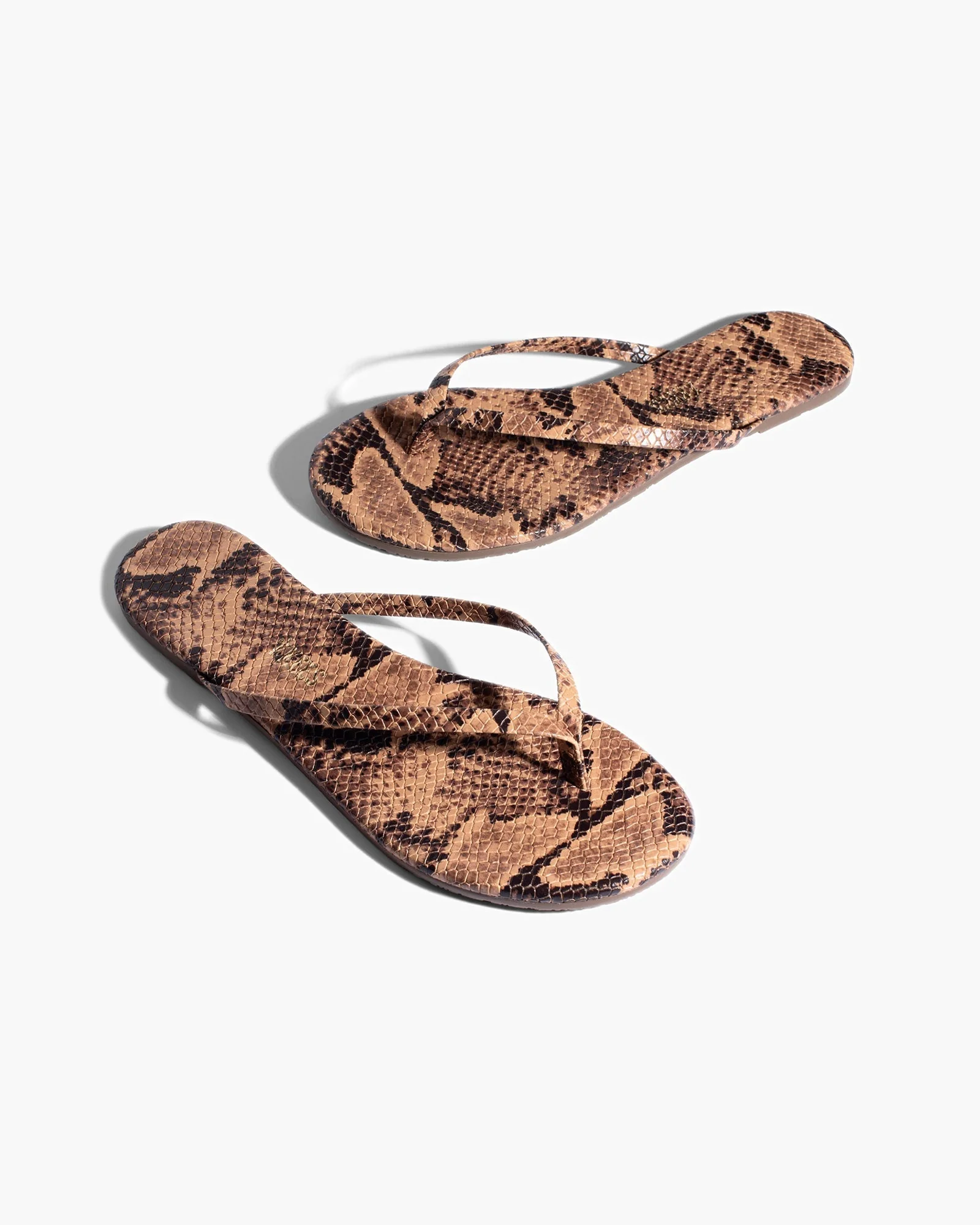297-lily-vegan-animal-coco-snake-1.webp