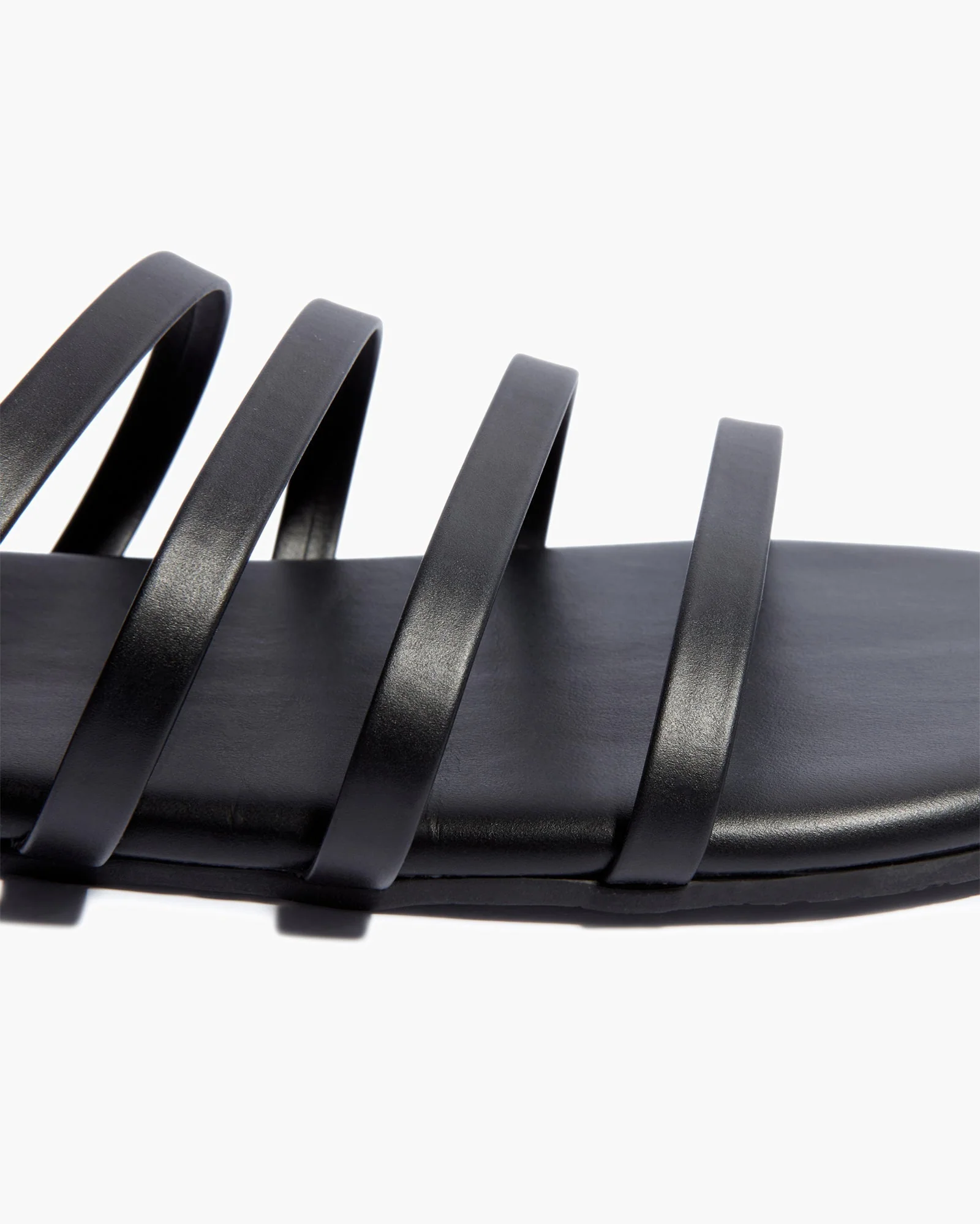 3626-sable-us-size-9-sable-us-size-9-variation-1.webp